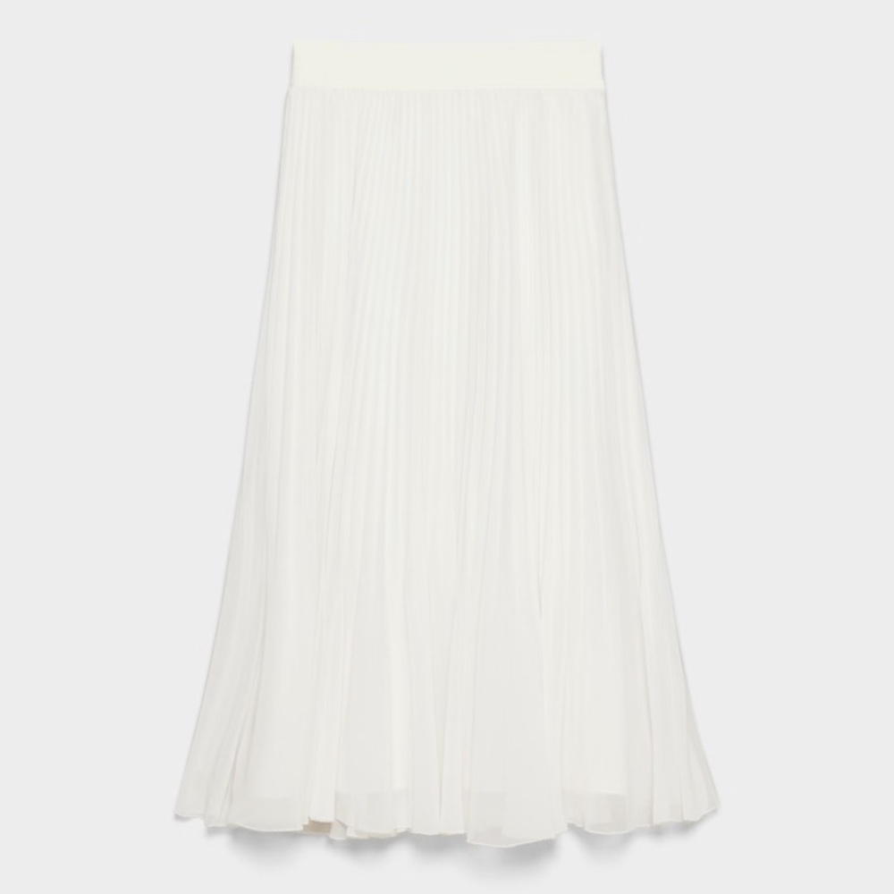 NWT Aritzia Skirt Twirl Pleated Skirt